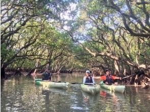 プランの魅力 Mangrove tunnel の画像