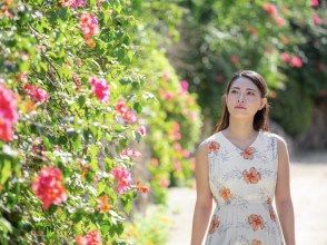 プランの魅力 ข้อมูลภาพถ่ายฟรี! の画像