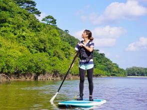 プランの魅力 새로운 감각! SUP(Stand Up Paddleboading) の画像