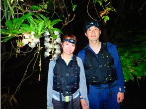 プランの魅力 写真データ無料！ の画像