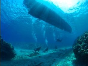 プランの魅力 透明度抜群の海♪ の画像