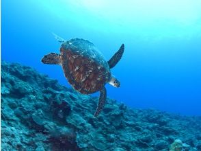 プランの魅力 ラッキーな出会いがあるかも？ の画像