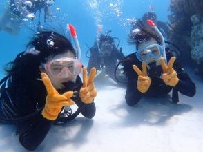 プランの魅力 Let's all take a commemorative underwater photo! の画像