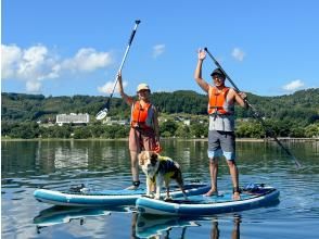 プランの魅力 Take a walk on the water with your beloved dog! Doggie SUP experience の画像