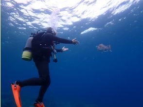 プランの魅力 Red sea bream Dai-chan の画像