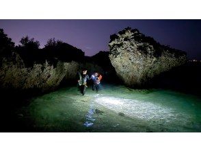 プランの魅力 暗くなったら夜の海散歩開始♪光に魚が集まってくるぞ♪海ホタル遭遇率１００％！！！！ の画像