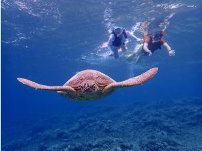 プランの魅力 [Explore an unknown world] If you come to Zamami, snorkeling is a must! の画像