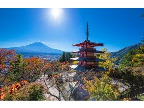 プランの魅力 新倉山淺間公園 の画像