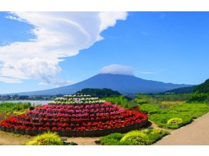 プランの魅力 河口湖畔の大石公園 の画像