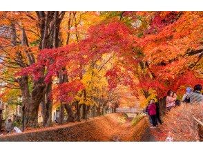 プランの魅力 Lake Kawaguchi Maple Corridor の画像