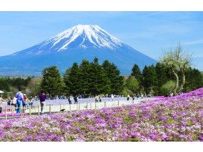 プランの魅力  の画像