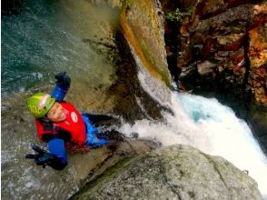 プランの魅力 A commemorative photo taken above the main waterfall! の画像