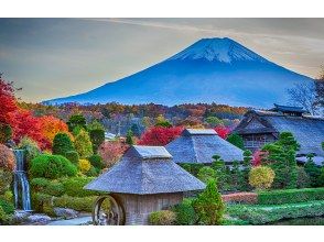 プランの魅力 忍野八海，被誉为日本的九寨沟 の画像