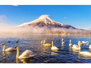 プランの魅力 Take a bath in the hot springs at Lake Yamanaka and enjoy the view of Mt. Fuji の画像