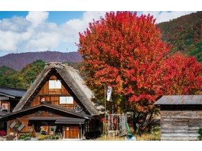 プランの魅力  の画像