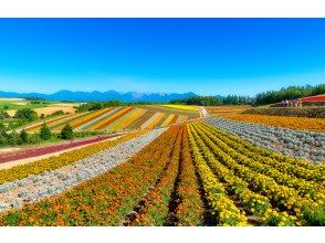 プランの魅力  の画像