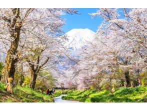 プランの魅力 Oshino Hakkai の画像