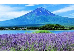 プランの魅力  の画像