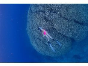 プランの魅力 写真や動画もたくさん の画像