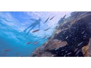 プランの魅力 Relax and enjoy snorkeling♪ の画像