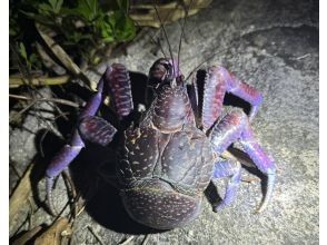 プランの魅力 ★沢山の生き物に出会えるかも？！★ の画像