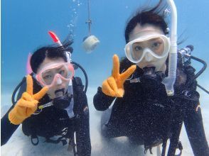 プランの魅力 水中記念写真も！ の画像