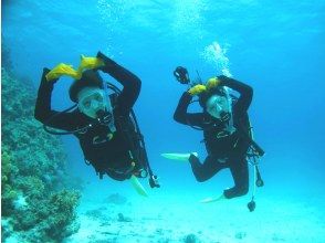 プランの魅力 浮力コントロールの練習 の画像