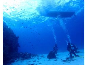 プランの魅力 あおーい海での講習は最高です！ の画像