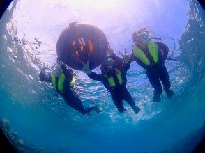 プランの魅力 水下照片免费礼物 の画像