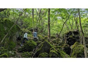 プランの魅力 庭園のような景観 の画像