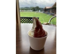 プランの魅力 Soft serve ice cream with wine sauce served at the Yoichi Winery cafe. の画像