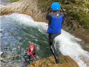 プランの魅力 jump in boldly の画像