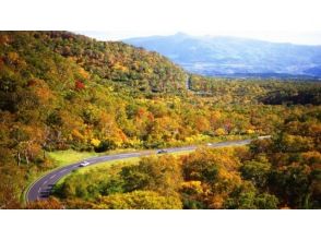 プランの魅力 紅葉時期のパノラマライン の画像