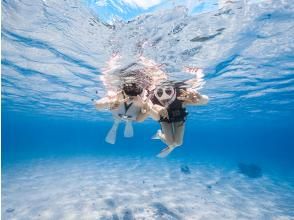 プランの魅力 写真・動画の無料プレゼント の画像