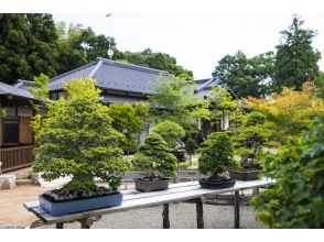 プランの魅力 Tree House Bonsai の画像