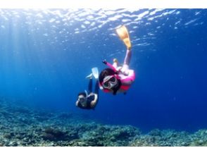 プランの魅力 Step up from snorkeling and dive underwater! (skin diving) の画像