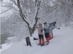 プランの魅力 赤沼で小休止 の画像