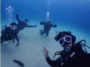 プランの魅力 砂地映え の画像