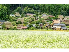 プランの魅力 미야마 김 の画像