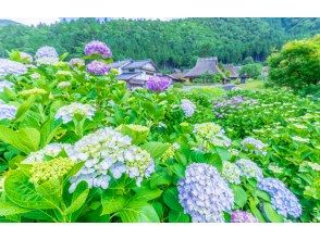 プランの魅力 美山のり の画像