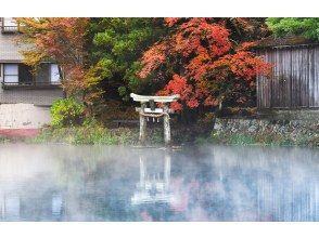 プランの魅力 Lake Kinrin の画像