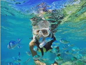 プランの魅力 Snorkeling surrounded by coral fields and fish の画像