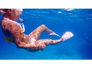 プランの魅力 With underwater photos! の画像