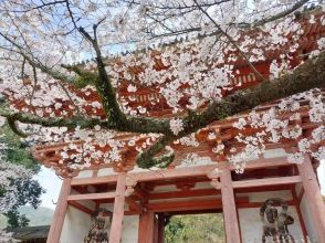 プランの魅力 Daigoji Temple の画像