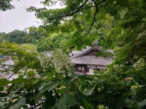 プランの魅力 繡球花① の画像