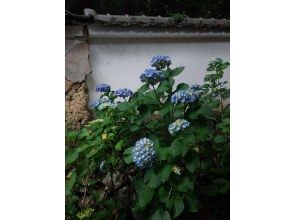 プランの魅力 Hydrangea③ の画像