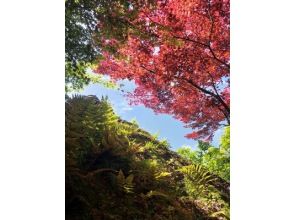 プランの魅力 鈴蟲寺 の画像