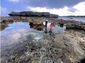 プランの魅力 サンゴ礁を探検 の画像