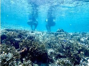 プランの魅力 足下に広がるサンゴの森 の画像