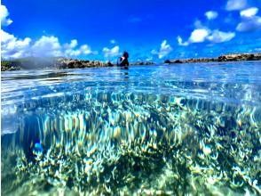 プランの魅力 いざ、水中観察 の画像